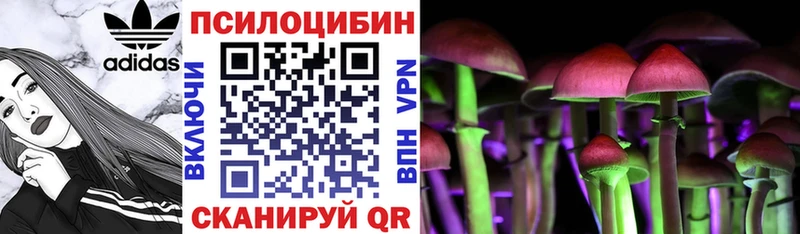 Галлюциногенные грибы мицелий  Купить  Иркутск 